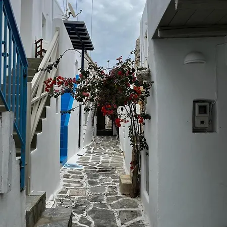 Apartment Afluencia Complex Naousa (Paros)